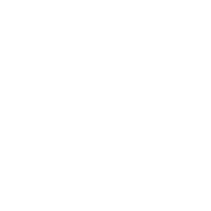 شخص سازی